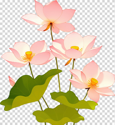 식물 편집이미지 꽃잎 꽃 잎 자연 생명 연꽃 초록색 평화 환경 정원 힐링 조화 PNG 순간 컬러 컨셉 생태계 파일형식