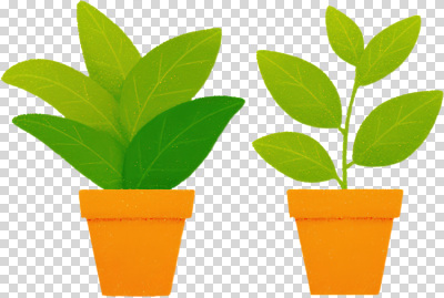 식물 편집이미지 화분 화초 백그라운드 잎 자연 실내 종류 장식 파란색 성장 원예 식물원 PNG 컬러 취미 내부 생태계 파일형식