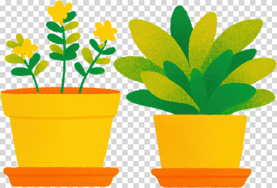 식물 편집이미지 화분 화초 컬러 가정 자연 실내 정원 꽃집 원예 조화 PNG 꾸미기 취미 내부 상점 생태계 파일형식