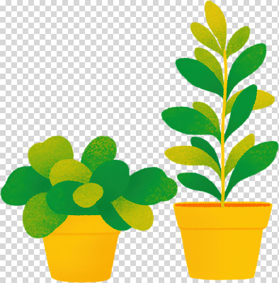 식물 편집이미지 화분 잎 자연 집안 장식 초록색 인테리어 노란색 환경 PNG 식물키우기 디자인 컬러 실내 생태계 파일형식