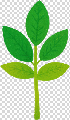 식물 편집이미지 컬러 잎 자연 생명 건강 초록색 여름 환경 성장 생태계 조화 PNG 계절 파일형식