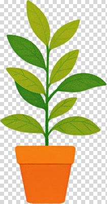식물 편집이미지 화분 잎 가정 자연 건강 초록색 원예 PNG 꾸미기 밝은색 자연친화 컬러 취미 생태계 파일형식