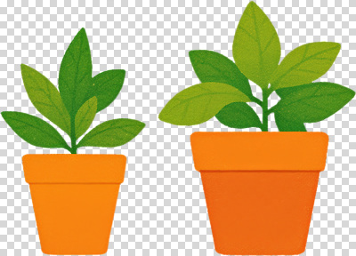 식물 편집이미지 디자인 화분 화초 컬러 잎 자연 건강 인테리어 환경 정원 성장 원예 PNG 취미 생태계 파일형식