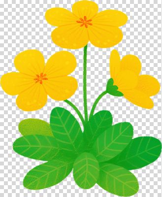 식물 편집이미지 꽃 감정 컬러 잎 자연 생명 풍경 초원 정원 화사함 PNG 생동감 컨셉 생태계 파일형식