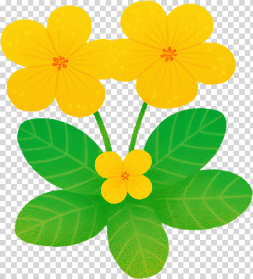 식물 편집이미지 디자인 꽃 컬러 잎 자연 풍경 초록색 노란색 봄 원예 화사함 PNG 계절 컨셉 취미 생태계 파일형식