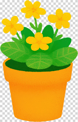식물 편집이미지 꽃잎 꽃 화분 잎 자연 생명 실내 장식 노란색 정원 성장 원예 주말 PNG 컬러 취미 내부 생태계 파일형식