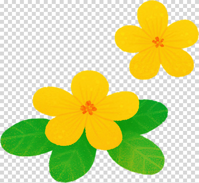 식물 편집이미지 디자인 꽃 컬러 잎 자연 생명 봄 그림 부드러움 PNG 계절 감각 생태계 파일형식