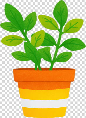 식물 편집이미지 화분 잎 자연 초록색 노란색 주황색 줄무늬 성장 원예 PNG 텃밭 컬러 무늬 밭 취미 생태계 파일형식