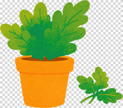 식물 편집이미지 화분 잎 채소 자연 탁자 건강 초록색 주황색 신선 작음 원예 PNG 컬러 가구 취미 크기 생태계 파일형식