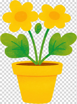 식물 편집이미지 꽃 화분 자연 생명 실내 사랑 장식 초록색 인테리어 노란색 성장 원예 화사함 PNG 디자인 감정 컬러 컨셉 취미 내부 생태계 파일형식