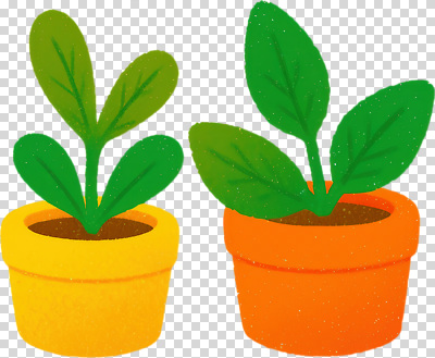 식물 편집이미지 화분 자연 주택 실내 초록색 인테리어 귀여움 공간 원예 조화 PNG 색감 생동감 디자인 컬러 컨셉 취미 내부 건물 생태계 파일형식