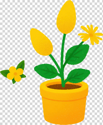 식물 편집이미지 꽃 화분 컬러 잎 자연 생명 실내 장식 여름 노란색 공간 PNG 싱그러움 계절 내부 생태계 파일형식