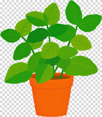 식물 편집이미지 화분 잎 방울토마토 자연 실내 장식 초록색 인테리어 주황색 오브젝트 PNG 가꾸기 생동감 디자인 컬러 토마토 내부 생태계 파일형식