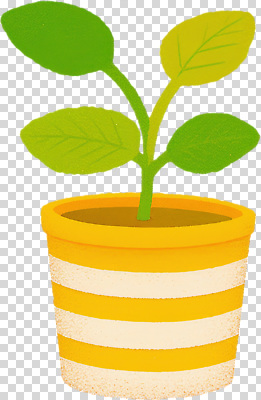 식물 편집이미지 화분 잎 자연 실내 생활 초록색 인테리어 노란색 줄무늬 성장 공예 원예 PNG 꾸미기 디자인 컬러 무늬 취미 내부 생태계 파일형식