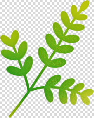 모양 식물 편집이미지 디자인 잎 자연 생명 건강 장식 초록색 환경 그림 유기농 생태계 PNG 웰빙 컬러 파일형식