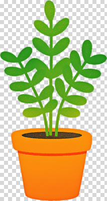식물 편집이미지 화분 잎 자연 주택 실내 장식 초록색 환경 주황색 공간 편안함 원예 PNG 컬러 취미 내부 건물 감각 생태계 파일형식