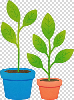 식물 편집이미지 화분 컬러 잎 자연 건강 파란색 환경 주황색 성장 원예 장면 PNG 다육식물 취미 생태계 파일형식
