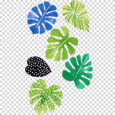 모양 식물 편집이미지 디자인 예술 컬러 백그라운드 잎 패턴 자연 수채화 장식 초록색 그림 PNG 창의성 무늬 생태계 파일형식