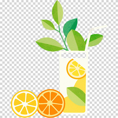 편집이미지 음료 조각 잎 과일 자연 디저트 컵 여름 주스 신선 갈증 레몬 상쾌 상큼 PNG 식물 식기 계절 감정 음식 생태계 파일형식