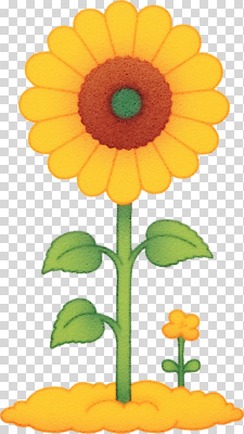 식물 편집이미지 꽃 줄기 잎 꽃밭 자연 생명 해바라기 따뜻함 초록색 햇빛 노란색 환경 성장 크기 PNG 컬러 태양 생태계 파일형식