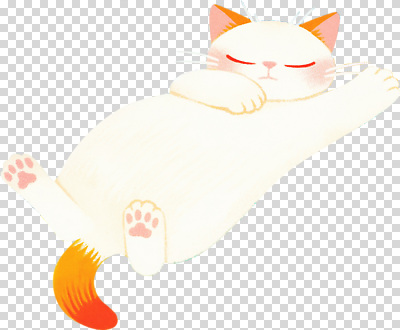 동물 편집이미지 컬러 생물 털 표정 고양이 흰색 잠 졸음 편안함 PNG 감정 포유류 반려동물 감각 파일형식