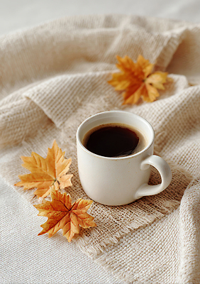 JPG 편집이미지 커피 음료 컬러 단풍 자연 휴식 따뜻함 일상 식사 카페 가을 편안함 담요 오브젝트 차분 편집실사 AI포토 AI콘텐츠 계절 컨셉 잎 라이프 상점 감각 CG 생태계 파일형식