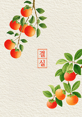 PSD 나무 식물 전통 잎 농업 채소 과일 일러스트 자연 귤 일상 여름 햇빛 농장 정원 수확 과수원 유기농 수확철 국내일러스트 웰빙 계절 산업 라이프 태양 생태계 파일형식