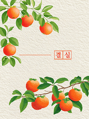 PSD 나무 식물 전통 상징 잎 겨울 농업 과일 일러스트 자연 가지 귤 한국 건강 정원 수확 맛 과수원 비타민 색감 생동감 국내일러스트 계절 산업 아시아 컨셉 채소 생태계 영양소 파일형식