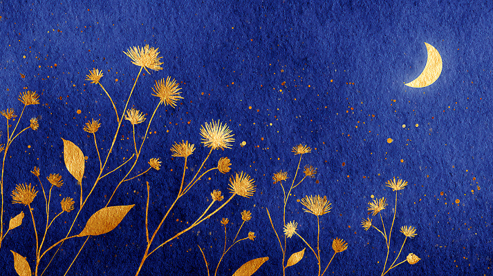 JPG 식물 별 예술 백그라운드 일러스트 자연 생명 풍경 달 캔버스 이미지 화가 조용 감성 조화 뷰티풀 색감 국내일러스트 AI일러스트 AI콘텐츠 자연요소 직업 컨셉 생태계 파일형식