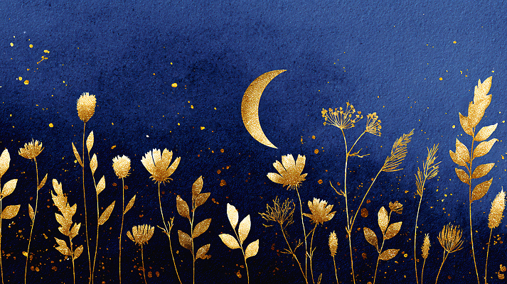JPG 식물 디자인 꽃 예술 백그라운드 야경 일러스트 자연 밤하늘 추상 파란색 평화 우아함 초승달 조화 뷰티풀 스카이 국내일러스트 AI일러스트 AI콘텐츠 컬러 컨셉 무늬 하늘 달 야간 생태계 파일형식 풍경_경치
