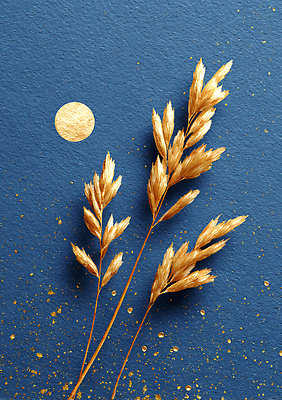 JPG 식물 디자인 예술 컬러 백그라운드 일러스트 자연 장식 파란색 금색 달 우아함 크기 배열 모던 질감 조화 뷰티풀 국내일러스트 AI일러스트 AI콘텐츠 자연요소 컨셉 생태계 파일형식