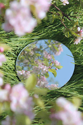 JPG 편집이미지 꽃 봄꽃 자연 생명 풍경 잔디 초원 햇빛 반사 평화 산책 거울 뷰티풀 편집실사 AI포토 AI콘텐츠 식물 컨셉 휴식 태양 봄 CG 생태계 파일형식