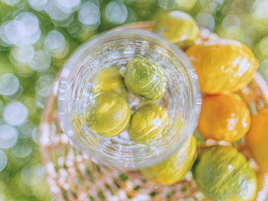 JPG 편집이미지 음료 과일 자연 잔 따뜻함 건강 초록색 물 여름 햇빛 노란색 바구니 신선 수분 레몬 편집실사 AI포토 AI콘텐츠 자연요소 식기 계절 컬러 태양 CG 생태계 파일형식