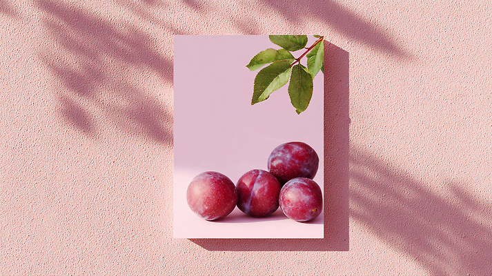 JPG 모양 편집이미지 디자인 분홍색 컬러 백그라운드 잎 과일 자연 여름 전시 신선 그림 자두 편집실사 AI포토 AI콘텐츠 식물 계절 CG 생태계 파일형식