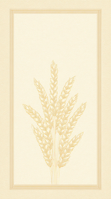 JPG 식물 손글씨 디자인 예술 백그라운드 농업 일러스트 자연 그래픽 장식 농작물 수확 클래식 우아함 밀 질감 이삭 베이지색 뷰티풀 국내일러스트 AI일러스트 AI콘텐츠 산업 컬러 컨셉 곡류 생태계 파일형식