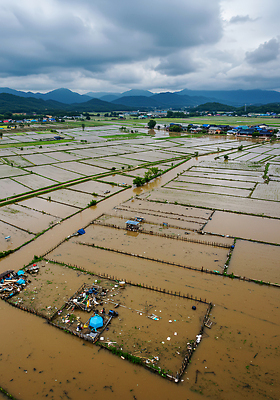 JPG 편집이미지 농업 자연 하늘 산 농작물 농가 환경 피해 농촌 홍수 자연재해 논밭 경관 편집실사 AI포토 AI콘텐츠 산업 밭 논 풍경 농장 시골 CG 생태계 재해 파일형식