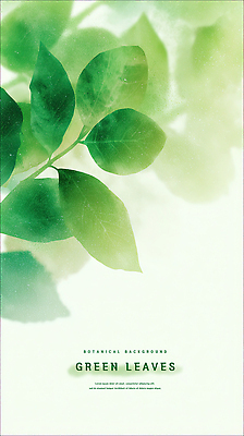 PSD 식물 디자인 컬러 백그라운드 잎 일러스트 자연 생명 일상 장식 초록색 여름 평화 환경 신선 조화 뷰티풀 자연친화적 국내일러스트 계절 컨셉 라이프 생태계 파일형식