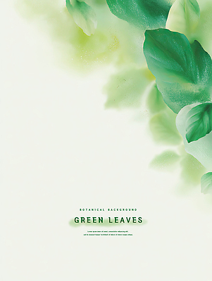 PSD 식물 디자인 아시아 화초 예술 컬러 백그라운드 잎 일러스트 자연 그래픽 초록색 신선 부드러움 조화 뷰티풀 국내일러스트 나라 감각 생태계 파일형식