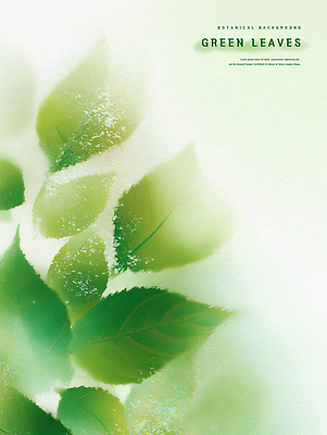 PSD 식물 디자인 예술 컬러 백그라운드 잎 일러스트 자연 생명 장식 초록색 청춘 귀여움 신선 생태계 뷰티풀 취향 국내일러스트 컨셉 파일형식