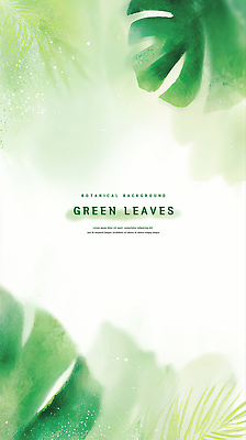 PSD 식물 디자인 예술 백그라운드 잎 일러스트 자연 생명 초록색 인테리어 평화 정원 촉촉함 다양 편안함 배열 모던 친환경 스프레이 뷰티풀 색감 국내일러스트 컬러 다수 컨셉 환경 젖음 감각 생태계 파일형식