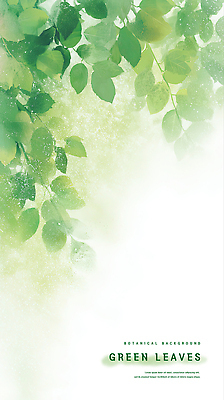 PSD 식물 백그라운드 잎 일러스트 자연 하늘 생명 나뭇잎 초록색 여름 평화 환경 신선 숲 실크 순수 생태계 부드러움 조화 뷰티풀 국내일러스트 계절 컬러 컨셉 직물 감각 파일형식