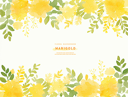 PSD 디자인 꽃 컬러 백그라운드 잎 일러스트 자연 결혼식 수채화 풍경 장식 노란색 화사함 조화 생동감 매리골드 국내일러스트 식물 결혼 컨셉 생태계 파일형식