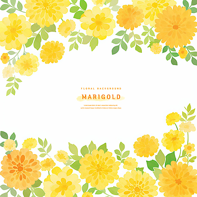 PSD 식물 디자인 계절 꽃 컬러 백그라운드 잎 일러스트 자연 밝음 장식 여름 노란색 금색 원예 화사함 조화 뷰티풀 생동감 매리골드 국내일러스트 컨셉 취미 생태계 파일형식