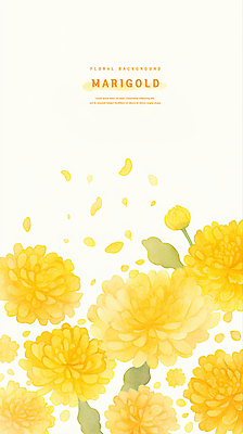 PSD 식물 꽃잎 꽃 예술 꽃다발 백그라운드 일러스트 자연 생명 풍경 여름 노란색 정원 봄 그림 화사함 감성 뷰티풀 매리골드 국내일러스트 계절 컬러 컨셉 생태계 파일형식