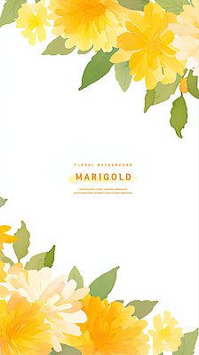 PSD 식물 디자인 계절 꽃 백그라운드 일러스트 자연 장식 초록색 화려 그림 화사함 감성 밝은색 뷰티풀 매리골드 국내일러스트 컬러 컨셉 생태계 파일형식