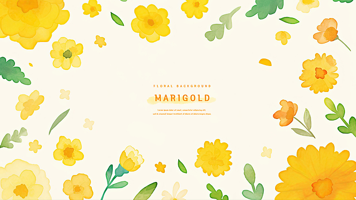 모양 PSD 식물 디자인 꽃잎 꽃 예술 선 컬러 백그라운드 일러스트 자연 수채화 장식 초록색 노란색 화사함 조화 뷰티풀 매리골드 국내일러스트 컨셉 생태계 파일형식