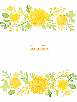 PSD 식물 컬러 잎 꽃백그라운드 일러스트 자연 미술 일상 그래픽 장식 여름 서식 화사함 매리골드 국내일러스트 계절 꽃 백그라운드 컨셉 문화예술 라이프 생태계 파일형식