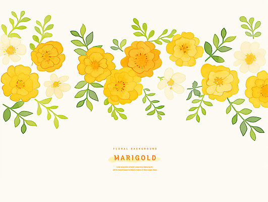 PSD 식물 디자인 꽃 화초 컬러 백그라운드 잎 일러스트 자연 생명 풍경 장식 여름 화려 조화 색채 스타일 매리골드 국내일러스트 계절 컨셉 생태계 파일형식