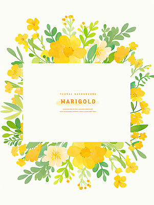 PSD 꽃 결혼 백그라운드 잎 일러스트 자연 이벤트 장식 초록색 노란색 파티 감성 조화 뷰티풀 생동감 테마 매리골드 국내일러스트 식물 컬러 컨셉 생태계 파일형식