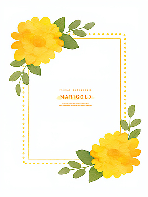 PSD 디자인 꽃 컬러 백그라운드 잎 일러스트 자연 수채화 프레임 그래픽 장식 여름 노란색 다양 화사함 뷰티풀 스타일 매리골드 국내일러스트 식물 계절 다수 컨셉 생태계 파일형식